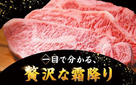 博多和牛 サーロイン ステーキ セット 500g [250g×2枚] 桂川町/株式会社 MEAT PLUS [ADAQ010] 和牛サーロイン 国産 サーロイン ステーキ ステーキ用