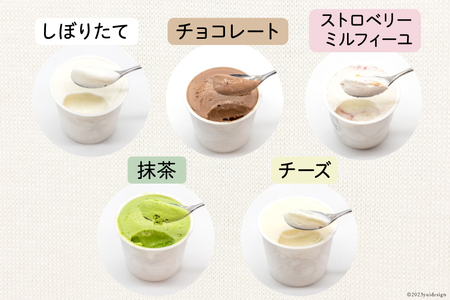 【牧場直送】 アイス 120ml ×5種 計5個 食べ比べ [岩瀬牧場 北海道 砂川市 12260519] 