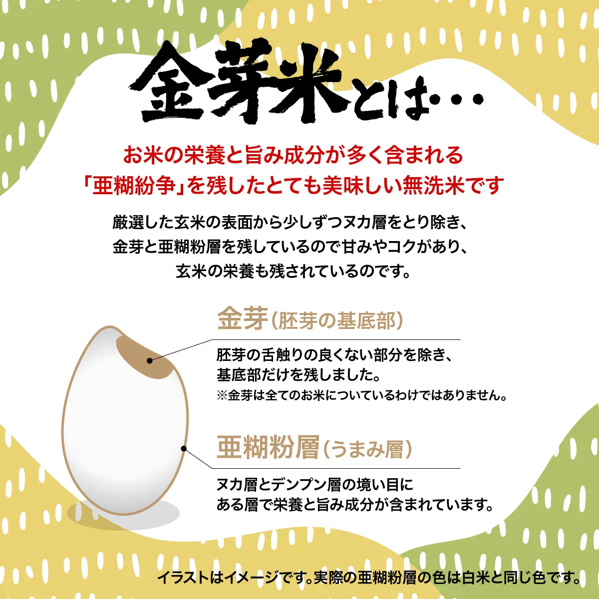 埼玉県産 金芽米(彩のきずな)【BG無洗米】10kg HNNS001