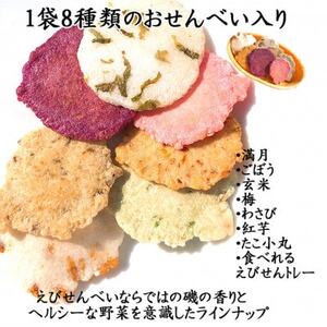 えび せんべい 24袋 贈答用 彩色兼美 箱入り お歳暮 海老 せんべい 詰合せ 海老 煎餅 人気 おすすめ 豊浜 愛知県 南知多町