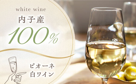 内子夢わいん 白ワイン (ピオーネ) 約720ml 2本 BKAG009