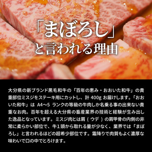 【A4～A5等級】おおいた和牛 ミスジ ステーキ 100g×4枚（合計400g）_1103R