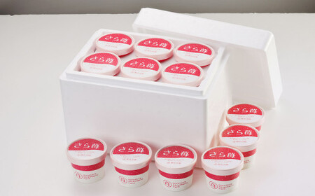 いちご 冷凍 50g×12カップ 合計600g 練乳  完熟 冷凍 いちご 「さら苺」 50g×12カップ 合計600g 練乳付き 1本（120g） 園村苺園 熊本県産冷凍いちご 宇城市産冷凍いちご 九州産冷凍いちご 