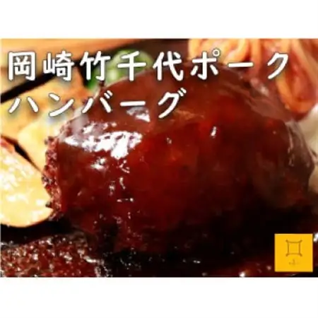 【新ブランド豚使用】愛知県岡崎市から贈る、岡崎竹千代ポークのハンバーグと自家製白味噌ドレッシング【配送不可地域：離島】【1436198】