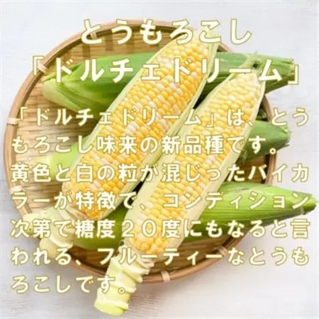 【先行受付2026年】とうもろこし　ドルチェドリーム　約3.0kg　数量限定【配送不可地域：離島】【1451276】