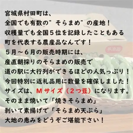 【先行受付2026年】そらまめ 約4kg Mサイズ 宮城県村田町産【配送不可地域：離島】【1451278】