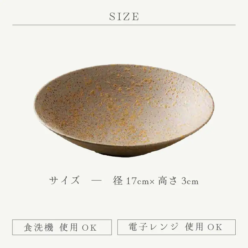  越前焼のふるさと越前町からお届け！ そば鉢 2点セット 光窯 越前焼 越前焼き 【蕎麦 ボウル はち 食器  ギフト うつわ 電子レンジ 食洗機 現代の名工 工芸品  陶器 】 [e25-b014]