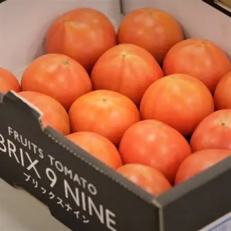 【令和8年3月発送開始】糖度9度以上!赤い宝石のようなフルーツトマト　ブリックスナイントマト2ケース_野菜  トマト _【1210033】