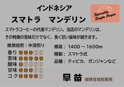 【早苗】焙煎珈琲豆（どっしりとした苦みを味わうセット　3種×各100g）粉  0020-005-S05-2