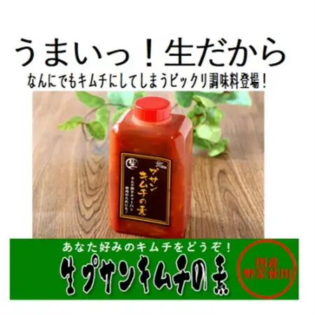 【武井のお漬物】生プサンキムチの素_惣菜・加工品 キムチ 漬物   調味料   _【配送不可地域：離島】【1331844】