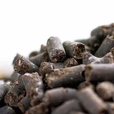 植物用 肥料 バイオゴールド クラシック元肥 5kg×1袋_花・観葉植物 盆栽  _【1437136】