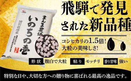 【令和7年度産】飛騨いのちの壱 5kg 特別栽培米 | 金賞受賞農家 品種別金賞 日本一 ４度受賞 飛騨 まんま農場 LT003VC13