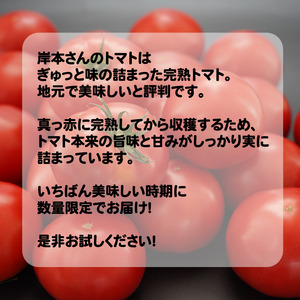 岸本くんの 完熟トマト 大玉 約4kg トマト