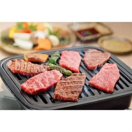 A5等級 飛騨牛バラ焼肉用500g(冷凍)【配送不可地域：離島】【1132912】