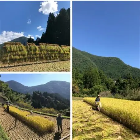 純米酒「谷瀬」の酒粕アイス　6個入り【配送不可地域：離島】【1296413】