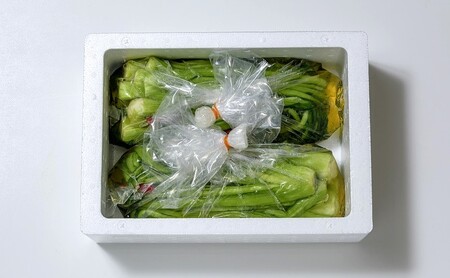 漬物専門店!国産野菜使用:漬物!人気の野沢菜漬!3kg(1.5kg×2袋)新潟県上越市清里産 漬物 野沢菜 国産 食品 発酵 加工食品 人気 新潟 上越 ごはんのお供