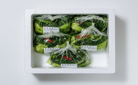 漬物専門店!国産野菜使用:漬物!人気の野沢菜漬!2.5kg(500g×5袋)新潟県上越市清里産 漬物 野沢菜 国産 食品 発酵 加工食品 人気 新潟 上越 ごはんのお供