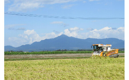 お米マイスターが育てた特別栽培米 コシヒカリ 上越頸城産 令和7年産 4kg(2kg×2袋)白米
