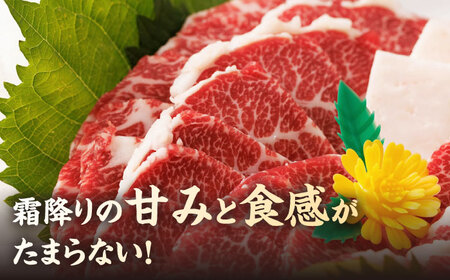 特選霜降り馬刺し（中トロ）計600g（6pc）＋タレ大【馬刺しの郷 民守】 九州 冷凍 特選 中トロ  熊本県 特産品 霜降り 馬刺し タレ付き   [ZBL009]