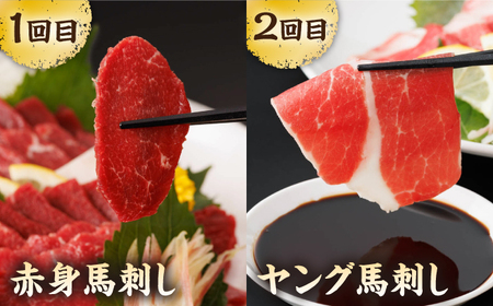 【6回定期便】毎月違う部位が届く！【馬刺しの郷 民守】 赤身 ヤング 霜降り馬刺し 食べ比べ [ZBL019]