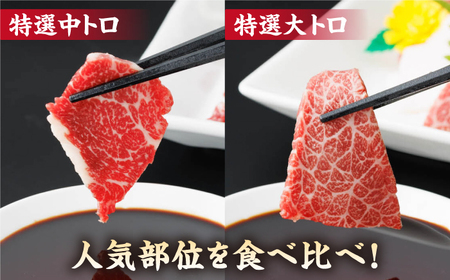 【3回定期便】特選霜降り馬刺し 中トロ大トロ2種食べ比べセット 計400g（各2pc）＋タレ大【馬刺しの郷 民守】2種馬刺しセット 中トロ 大トロ 熊本 特選 タレ付き  [ZBL051]