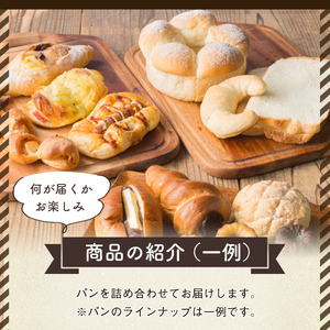 i883 冷凍パンセット(計10個) 鹿児島 パン 菓子パン 食パン 豆乳 ちぎりパン ハード系 チョコ プレーン 冷凍 何が届くかお楽しみ バラエティ セット 【パティスリータンプルタン】