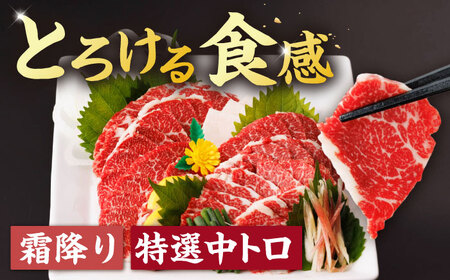 【6回定期便】馬刺し バラエティセット 3種類 3・4人前 ＋タレ小【馬刺しの郷 民守】 馬肉 熊本県 特産品 馬刺し  [ZBL076]