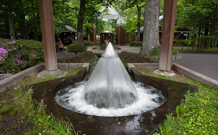 軽井沢タリアセン　大人1名　入園券 チケット 入場券 優待券 塩沢湖 美術館 レストラン 買い物 ショップ リゾート 自然 リラックス 