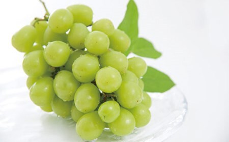 《先行予約》山形県中山町 厳選フルーツ定期便 秋冬 全3回【2026年9月開始】 F4A-0371