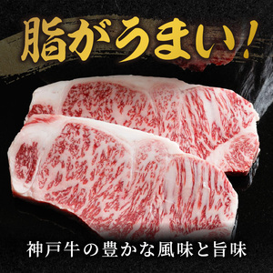 神戸牛サーロインステーキ(200g×3枚)《 肉 牛肉 牛 神戸牛 国産牛  サーロイン ステーキ 》【2407A00117】