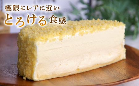ダブルフロマージュ（チーズケーキ） / ケーキ ちーずけーき スイーツ デザート おやつ お土産 / 南島原市 / 本田屋かすてら本舗 [SAW038]