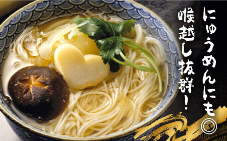 島原 手延べそうめん 計3kg [SAZ023] そうめん