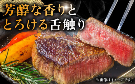 壱岐牛 シャトーブリアン 120g×3枚《壱岐市》【中津留】[JFS006] 肉 牛肉 和牛 ヒレ ステーキ ヒレステーキ 3枚 冷凍配送 48000 48000円 九州