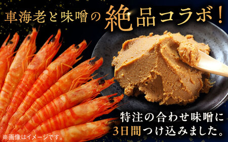 車海老みそ漬 計450g（車海老250g、味噌200g） / 佐賀県 / 株式会社 拓水 伊万里クルマエビセンター [41AEAJ003]
