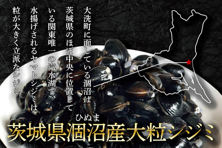 涸沼産 大粒 シジミ 1kg しじみ 蜆 大和しじみ ヤマトシジミ 大玉 冷蔵 味噌汁 スープ 魚貝類 貝 オルニチン コハク酸 魚介類_DV001