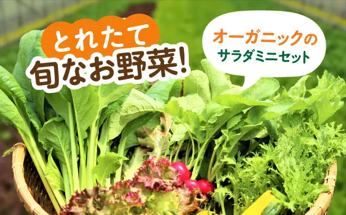 サガンベジオーガニックサラダミニセット 7種×1パック 有機JAS / 佐賀県 / 株式会社サガンベジ [41ANCH001]