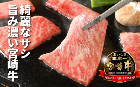 宮崎牛 肩ロース焼肉600g_K18_0037_6