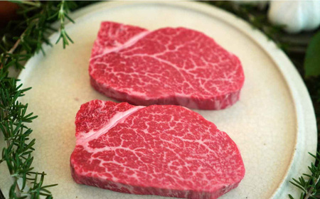 【全6回定期便】佐賀牛ヒレステーキ300gとステーキ600g 計5.4kg [41ASAA055]
