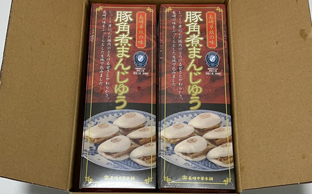 【全12回定期便】長崎 豚角煮まんじゅう 10個(5入を2箱)〈化粧箱入〉とろ~り角煮をふわふわ生地で包んだ絶品グルメ【長崎中華本舗】 おすすめ 人気 高評価豚角煮 温めるだけ ギフト 定期便 長崎名物 