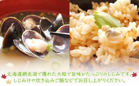 ＜網走湖産＞冷凍しじみ 2kg ABE006