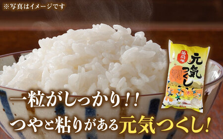 【令和7年産】福岡県産ブランド米「元気つくし」白米 20kg (5kg×4袋)【2025年11月以降順次発送】 [ABDD005] 
