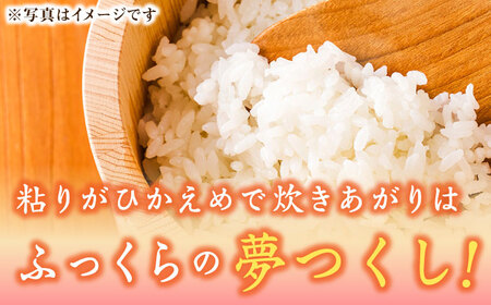 【先行予約】【令和7年産】福岡県産ブランド米「夢つくし」白米 5kg 【2025年8月以降順次発送】 [ABDD007] 