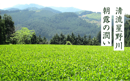 【全6回定期便】奥八女星野村 深蒸し高級煎茶(深蒸し茶)100g×1袋　6回コース 八女茶 [ABDF026] 