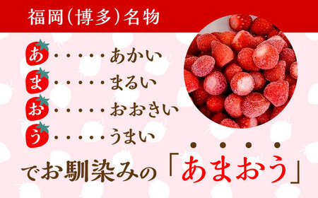 福岡県産【博多冷凍あまおう】約500g×2袋 合計約1kg [ABDG005] 