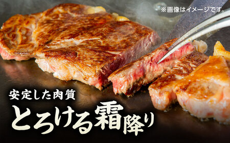 【3回定期便】くまもと黒毛和牛 ステーキ食べ比べ ヒレステーキ×2枚 サーロインステーキ×2枚【馬刺しの郷 民守】 食べ比べセット ヒレ サーロイン ステーキ  [ZBL058]
