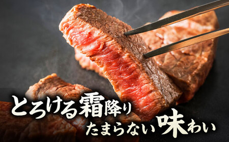 【6回定期便】くまもと黒毛和牛 サーロインステーキ 計400g（2枚）【馬刺しの郷 民守】霜降り サーロイン ステーキ  [ZBL080]