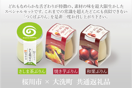 つくばぷりん アソート 6個セット ( 桜川市 × 大洗町 共通返礼品 ） 奥久慈卵 卵黄 濃厚 とろける プリン ぷりん 和栗 焼き芋 さしま茶 スイーツ デザート 洋菓子 お菓子 おかし 乳製品_DT003