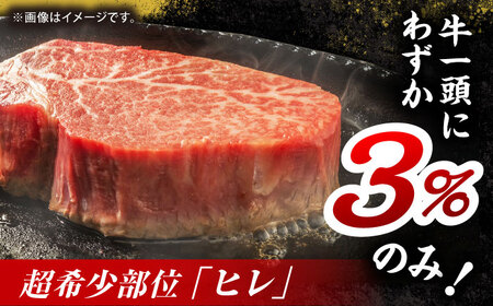 【12回定期便】くまもと黒毛和牛 ヒレステーキ 計300g（2枚）【馬刺しの郷 民守】 熊本 和牛 ステーキ ヒレ  [ZBL110]