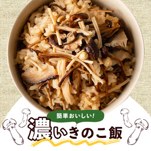 国産のえのきやきのこ使用！濃いきのこの炊き込みご飯の素(2合用×100袋)  国産 だし醤油 きのこご飯 椎茸 しいたけ【三笠えのき茸生産組合】akn010-15