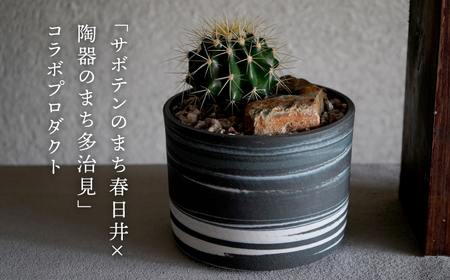 多治見市×春日井市コラボ【美濃焼】 MINO MAKELAY Lサイズ 鉢 黒土マーブル × 【日本有数のサボテンの生産地】 春日井市の名店 後藤サボテン 【井澤コーポレーション】[TBP163]